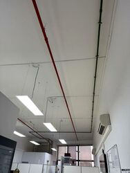 Oxley Bizhub (D14), Factory #498883961